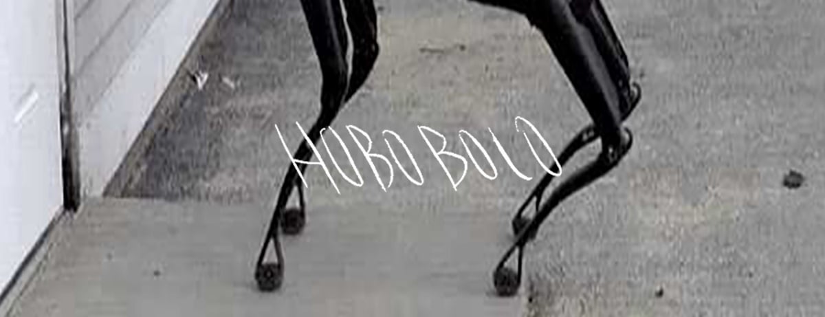 Alessandro Di Pietro - Hobobolo